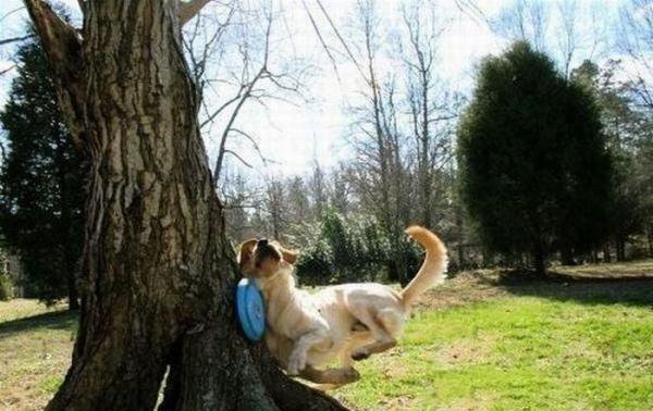 207231_157033507693439_152992394764217_361367_5952875_n