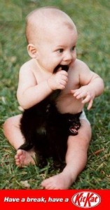 246672_10150266341434252_391077539251_8828985_7975808_n