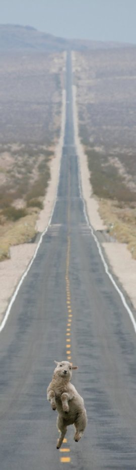 3003231949_2_3_JhzIpEqy