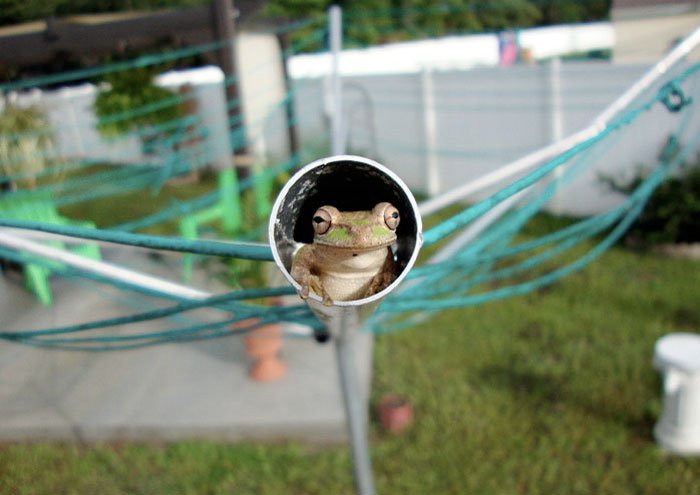 230720_160379840692139_152992394764217_382478_3111295_n